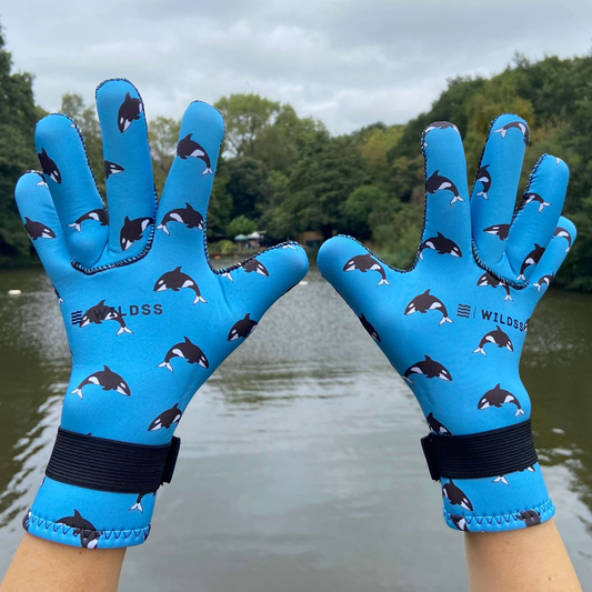 Blue neoprene gloves with whale pattern held up against a natural background