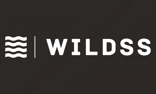 WildSwimmingSocks